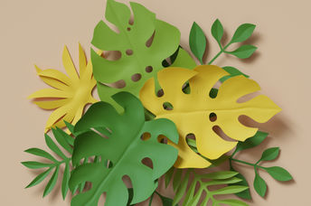 Paper plants.