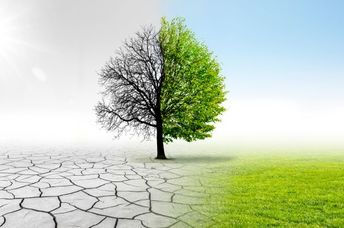 Climate change.