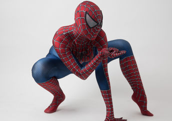 Spiderdad.
