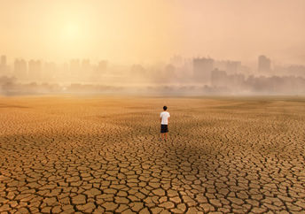 Dry land.