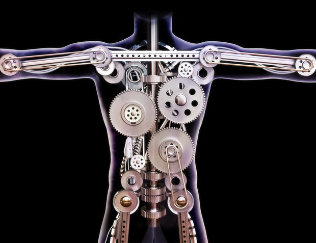 The human body is a wonderous machine
