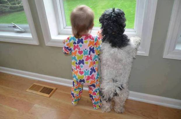 Cute photo of baby with pet dog