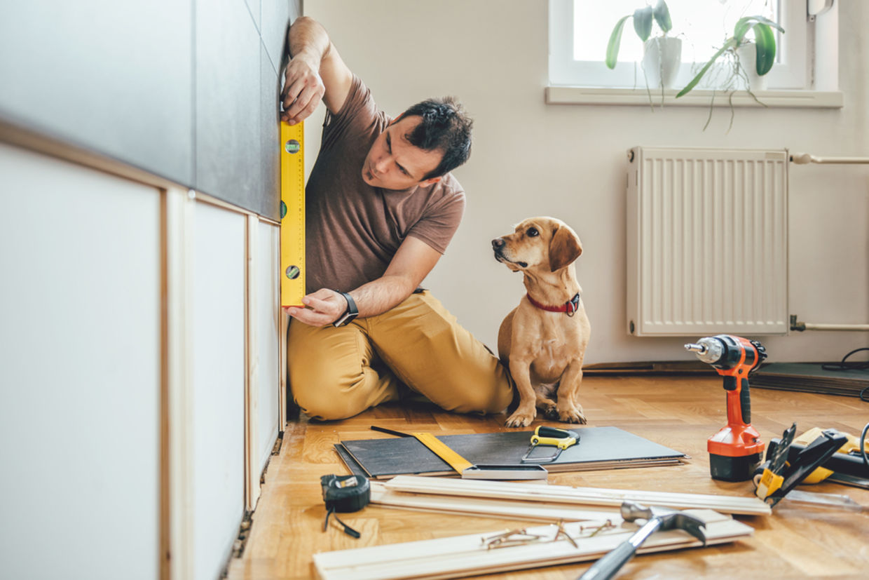 Man doing renovation work at home together with his small yellow dog Man doing renovation work at home together with his small yellow dog