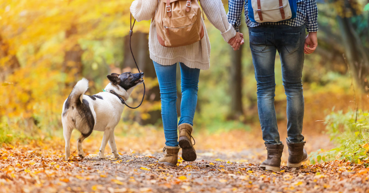 People walking with dog