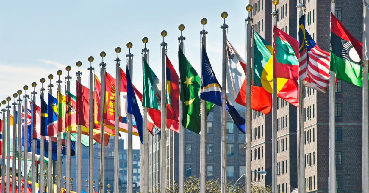 United Nations flags United Nations flags