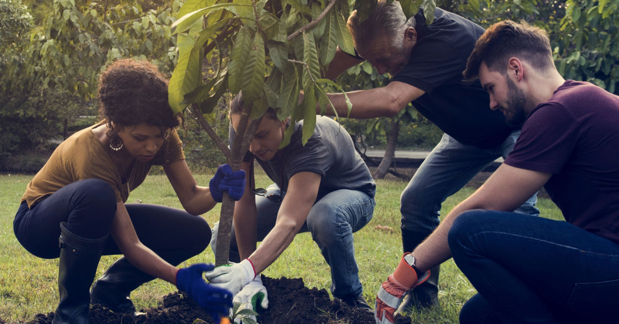 Volunteers donate their time to environmental causes.