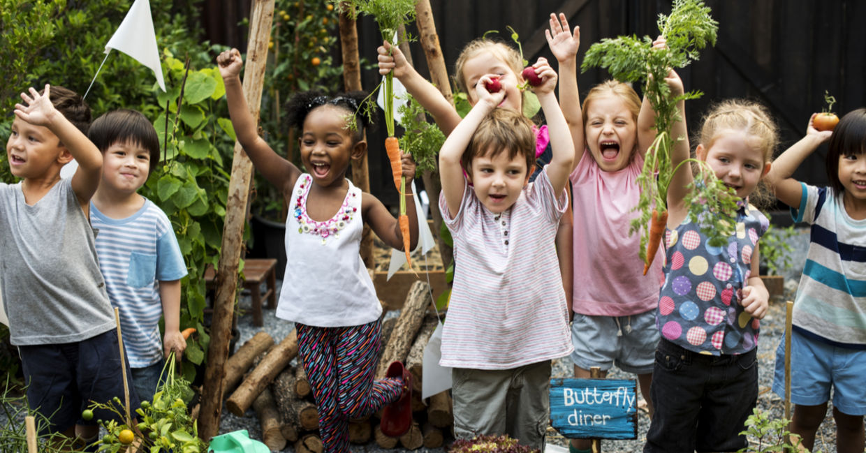 Outdoor school