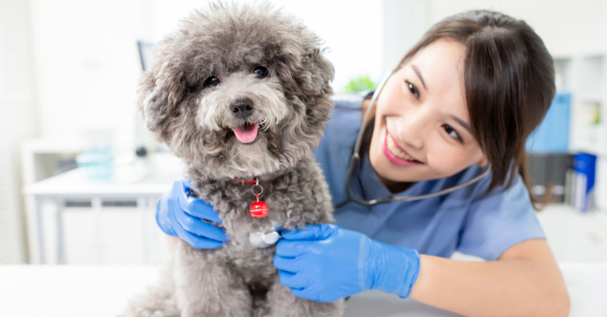 Finding fulfillment at work