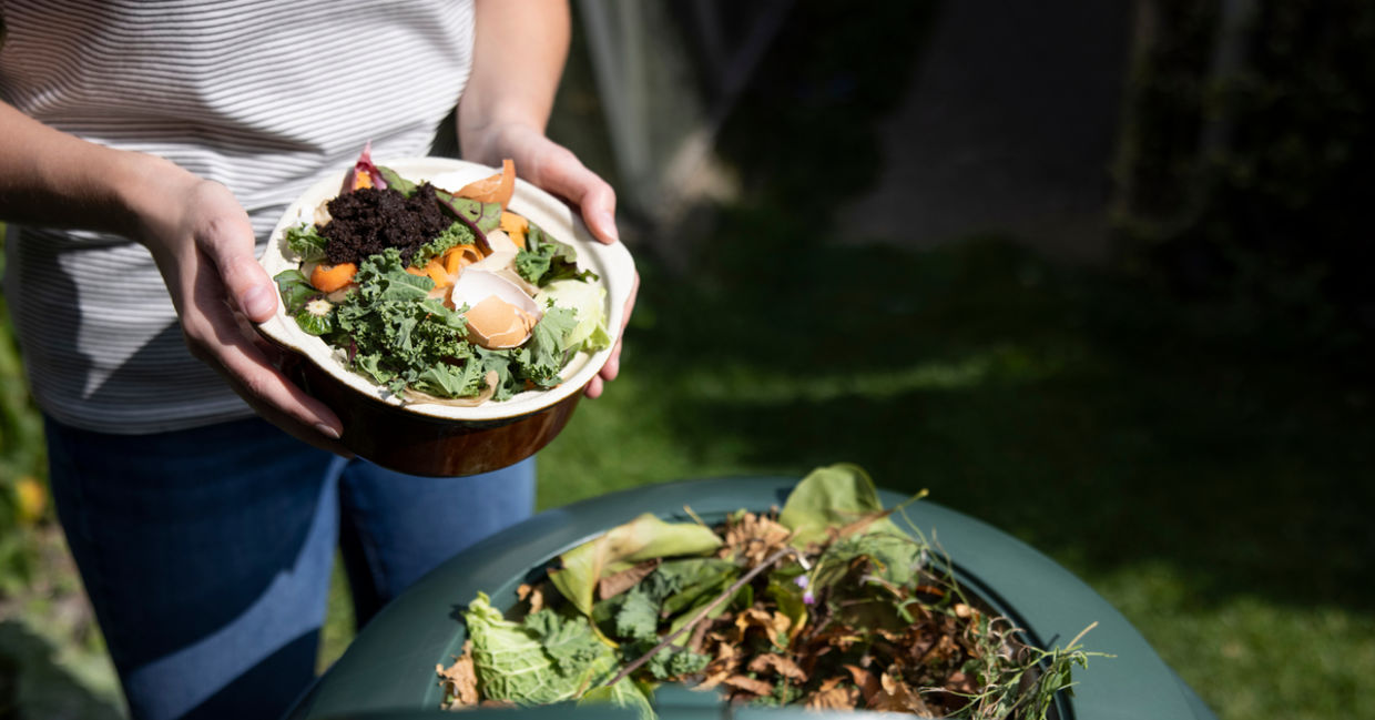 outdoor compost