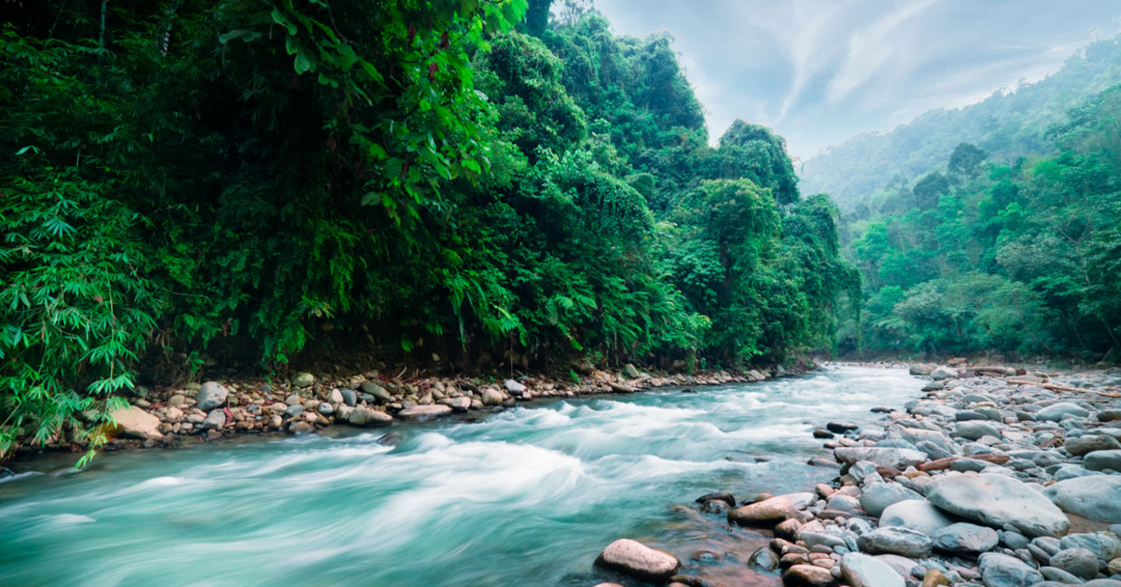 A running river.