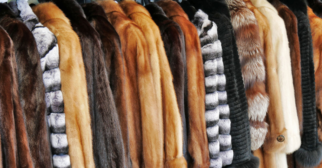 Fur coats hanging in a store. Fur coats hanging in a store.