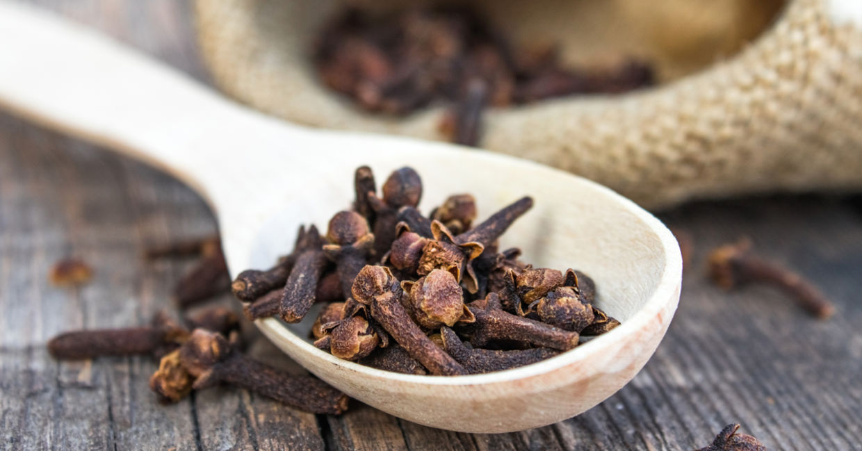 Fresh cloves and clove oil are full of health benefits. Fresh cloves and clove oil are full of health benefits.