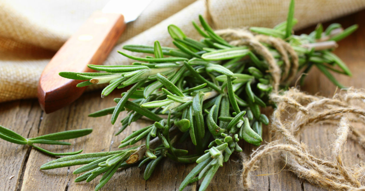 Use rosemary sprigs to help reduce anxiety. Use rosemary sprigs to help reduce anxiety.