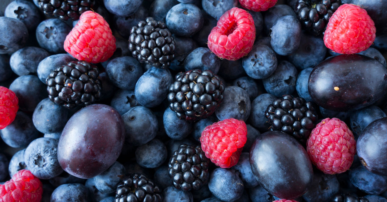 Blueberries in a bowl. Blueberries in a bowl.