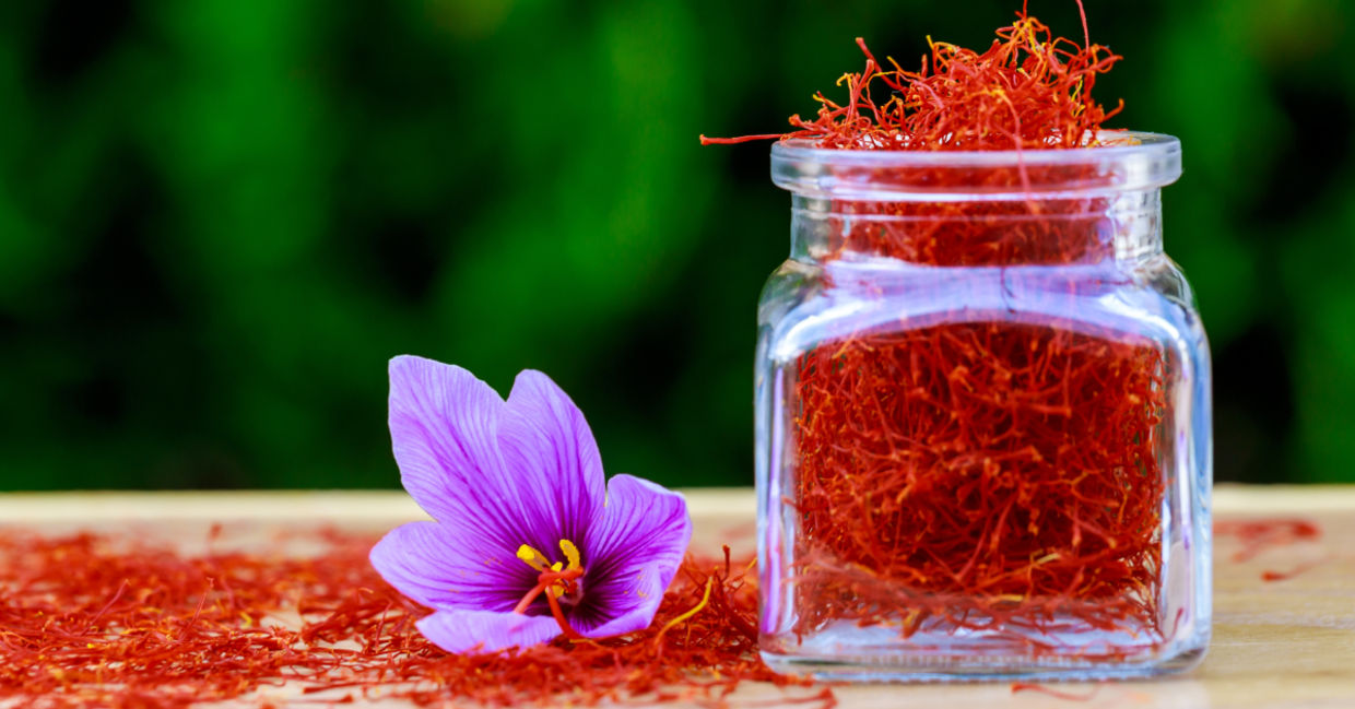 Saffron has many health benefits. Saffron has many health benefits.