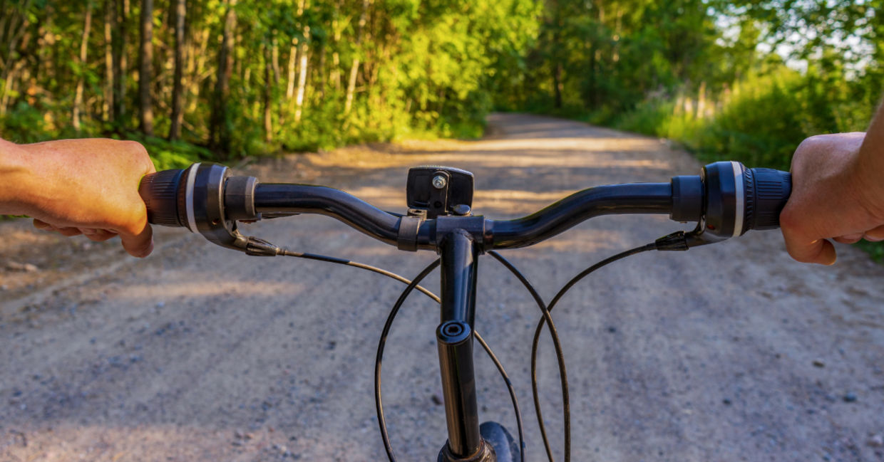 Cycling in the forest. Cycling in the forest.