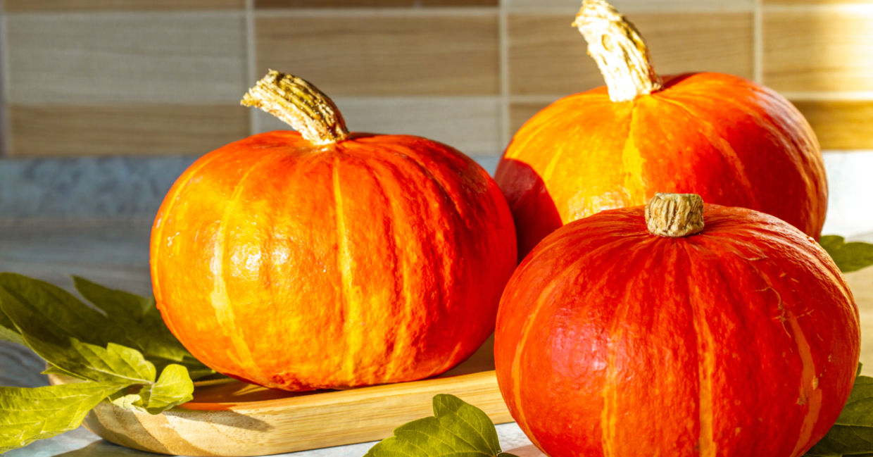 Fall is the season for pumpkins.