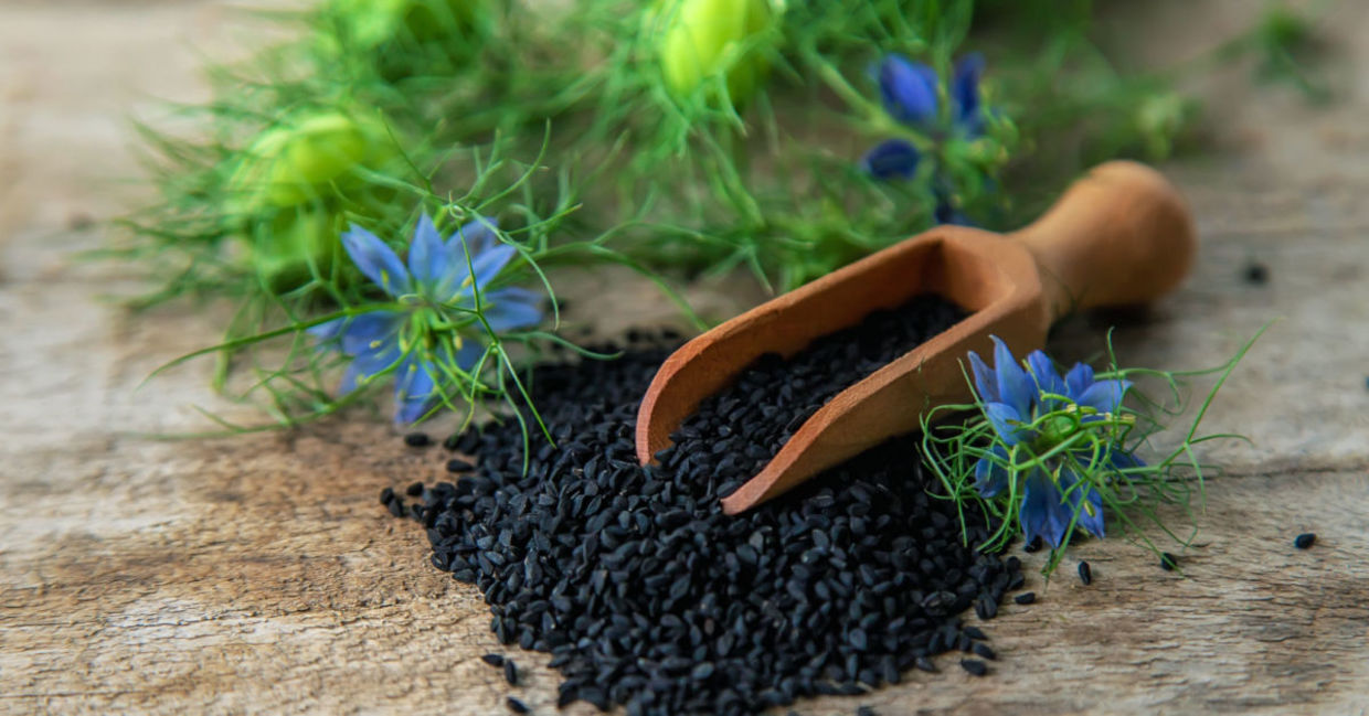 Black cumin seeds and flowers. Black cumin seeds and flowers.
