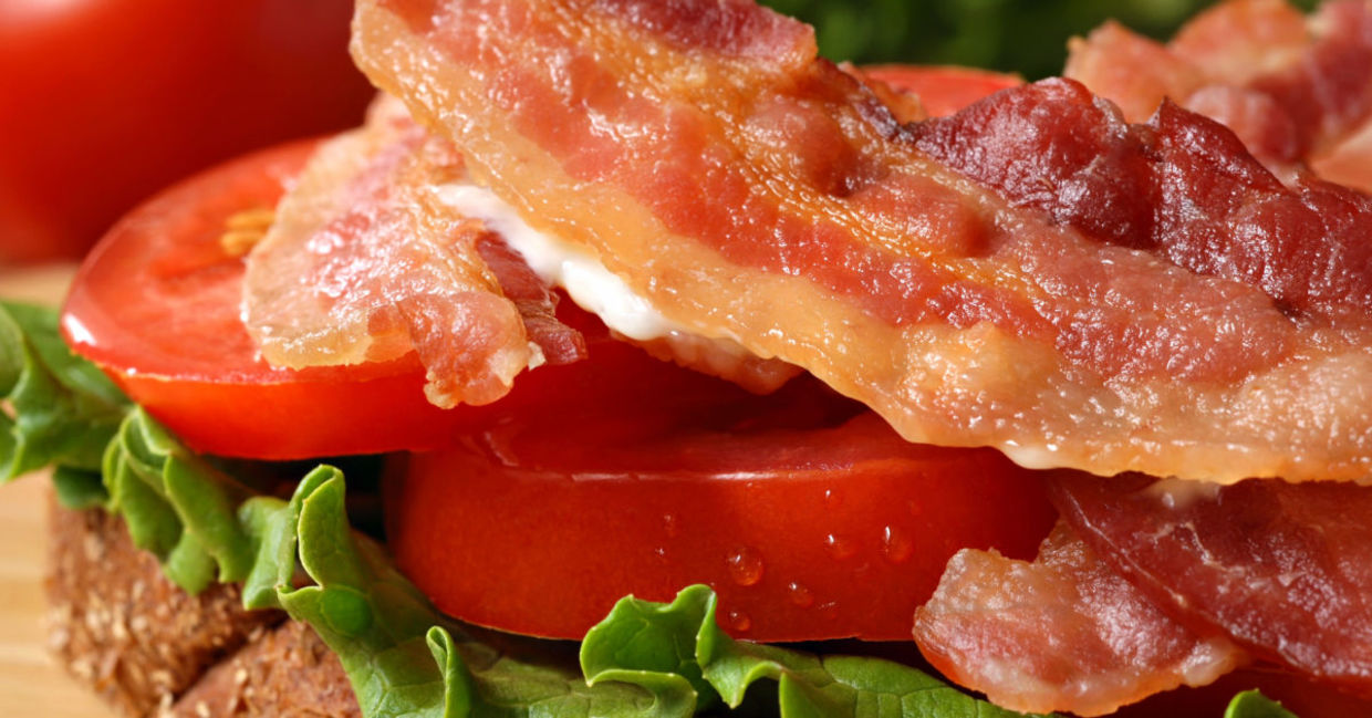 Vegan bacon made from seaweed looks and tastes real.