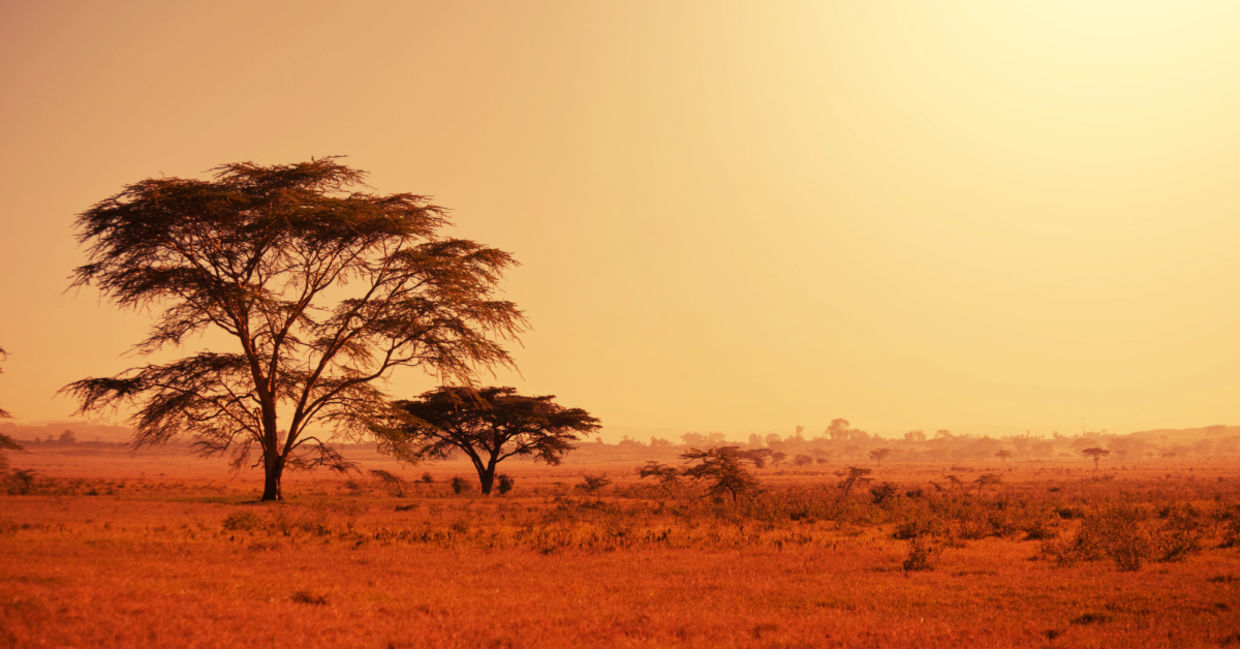 Namibia in Africa.