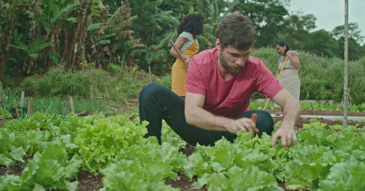 Organic farm.