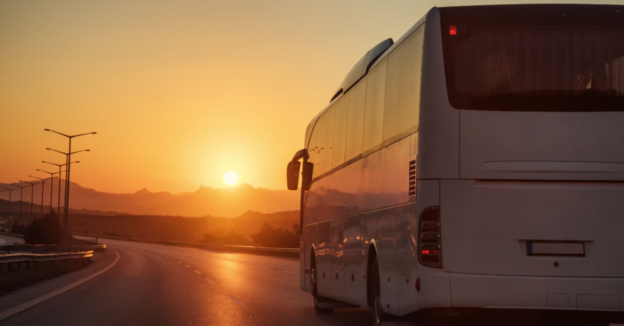 White bus.