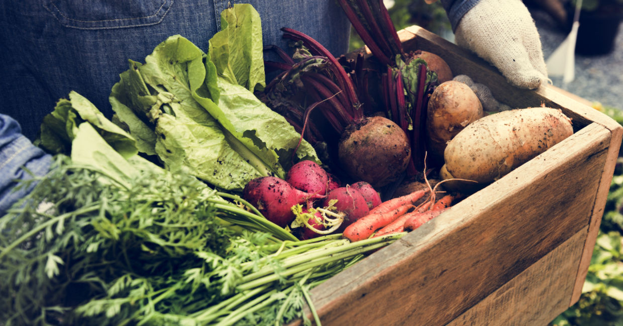Fresh vegetables. Fresh vegetables.