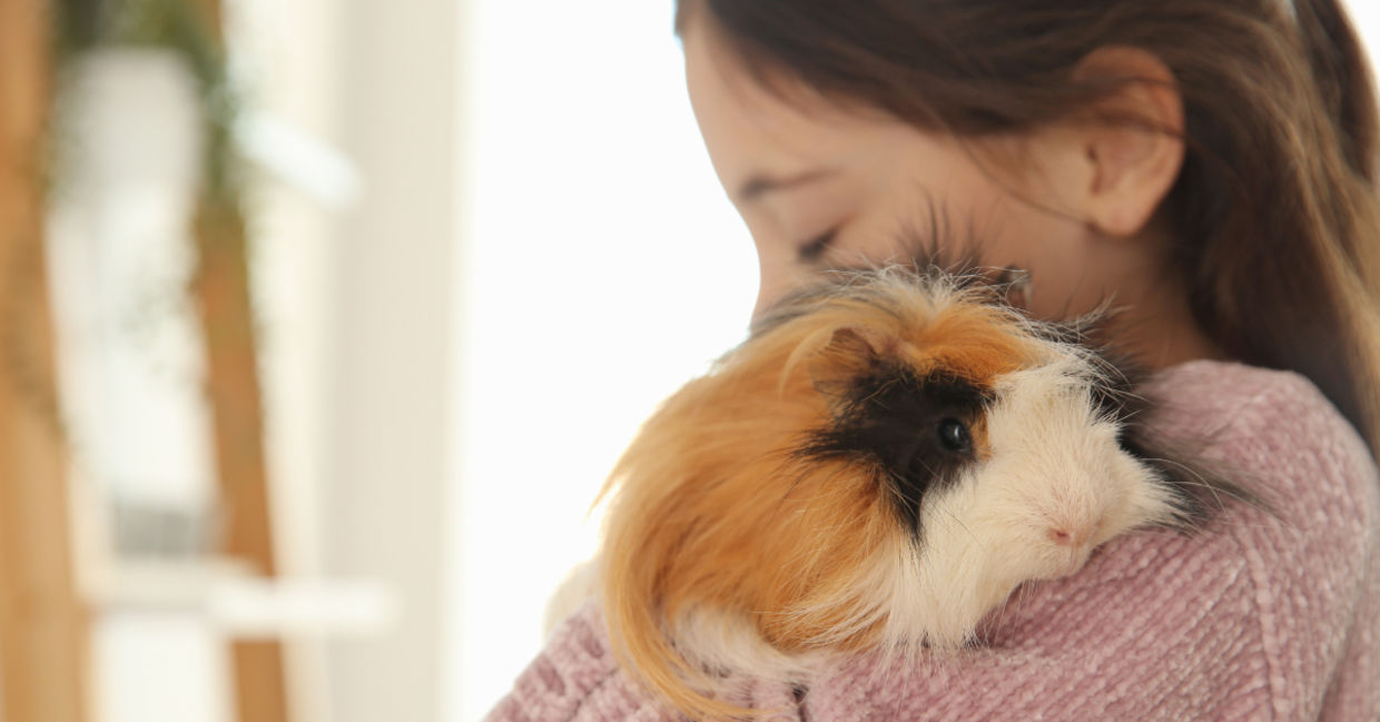 Cuddling with her pet guinea pig. Cuddling with her pet guinea pig.