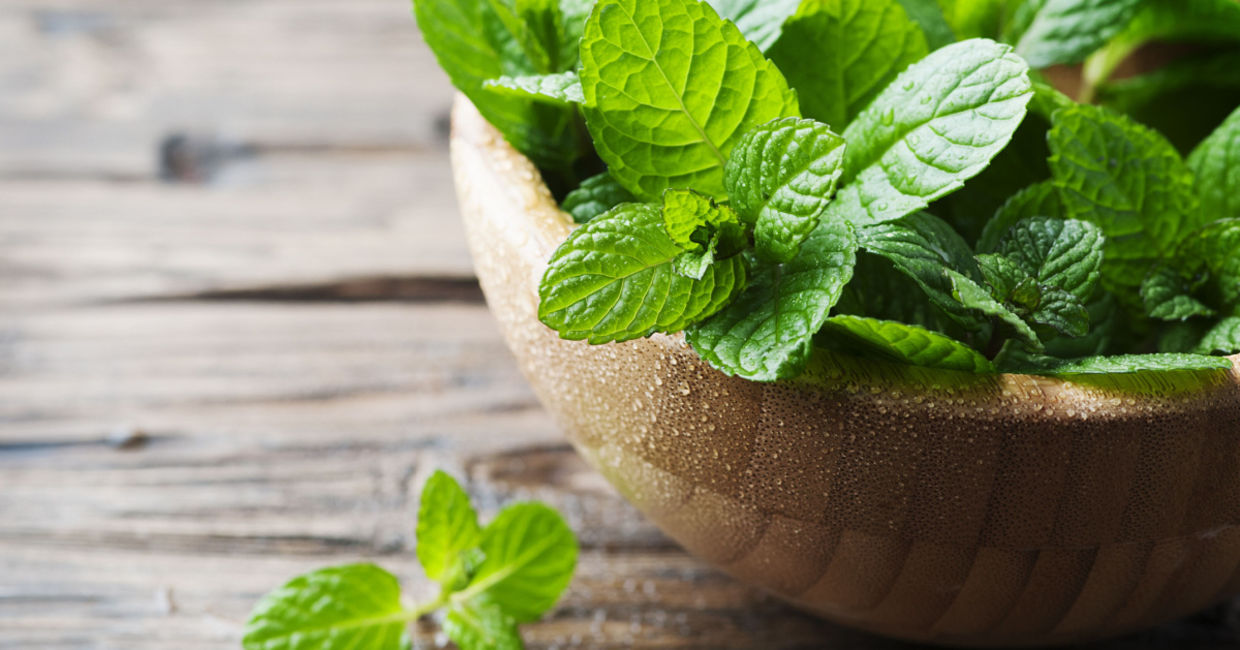 Use fresh mint for tea. Use fresh mint for tea.
