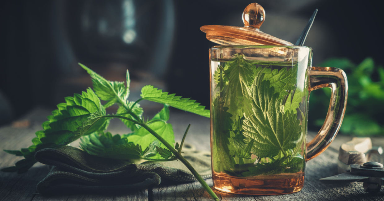 Nettle is a cooling herb. Nettle is a cooling herb.