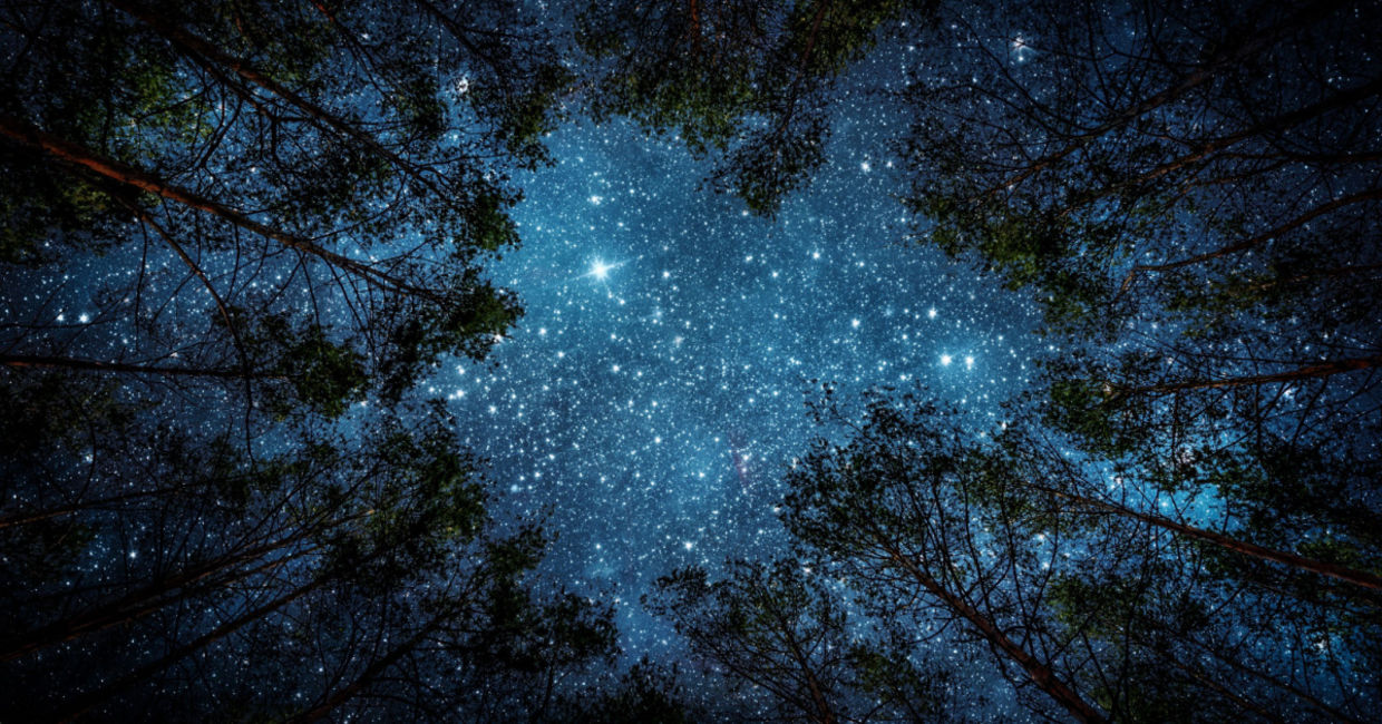 View of the milky way in the night sky. View of the milky way in the night sky.