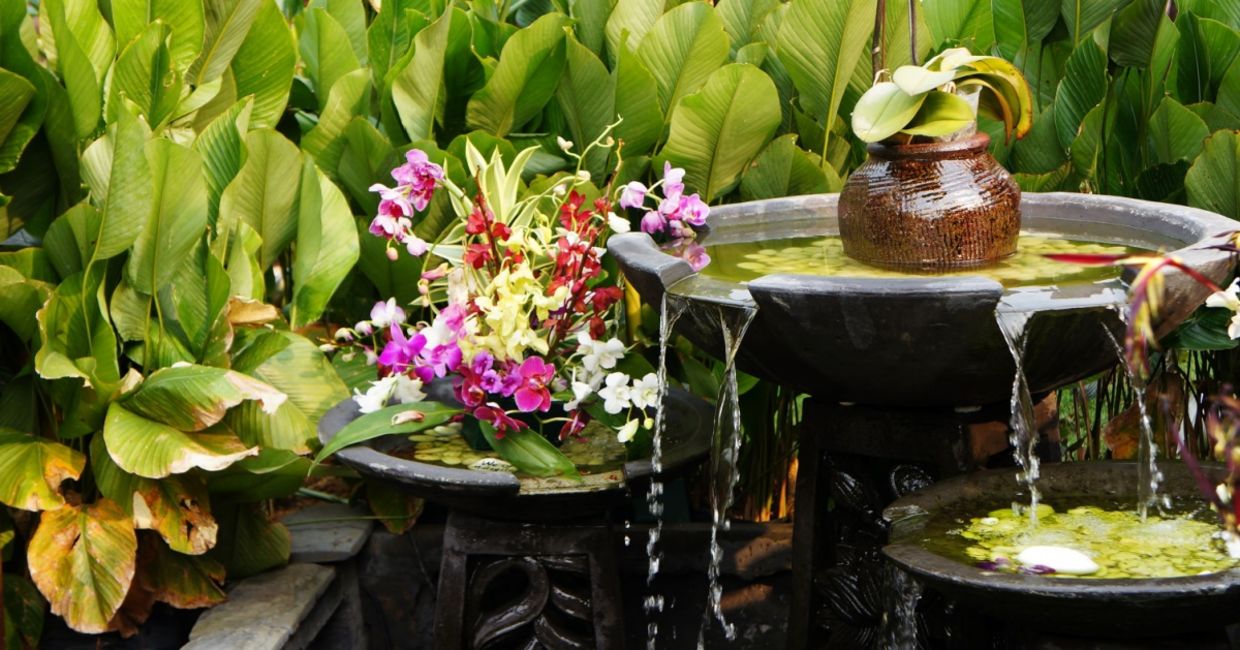 Enchanting Fend Shui garden.