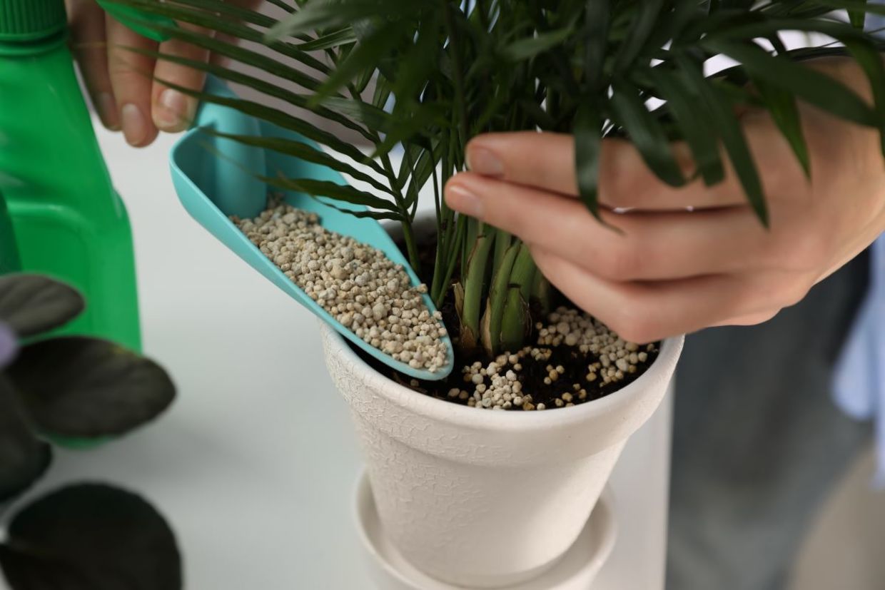 Fertilizing plants keeps them healthy. Fertilizing plants keeps them healthy.