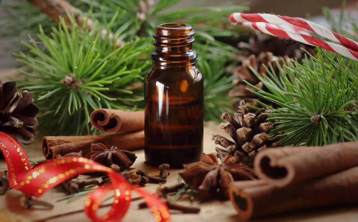Cinnamon essential oil. Cinnamon essential oil.