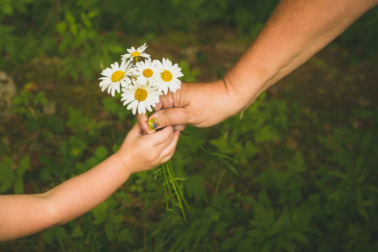 Giving flowers to a family member. Giving flowers to a family member.