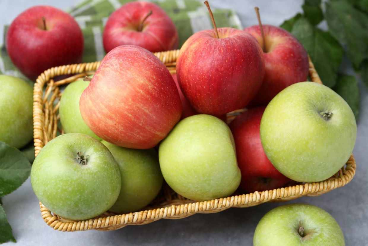 Different colored apples are all good for your health. Different colored apples are all good for your health.