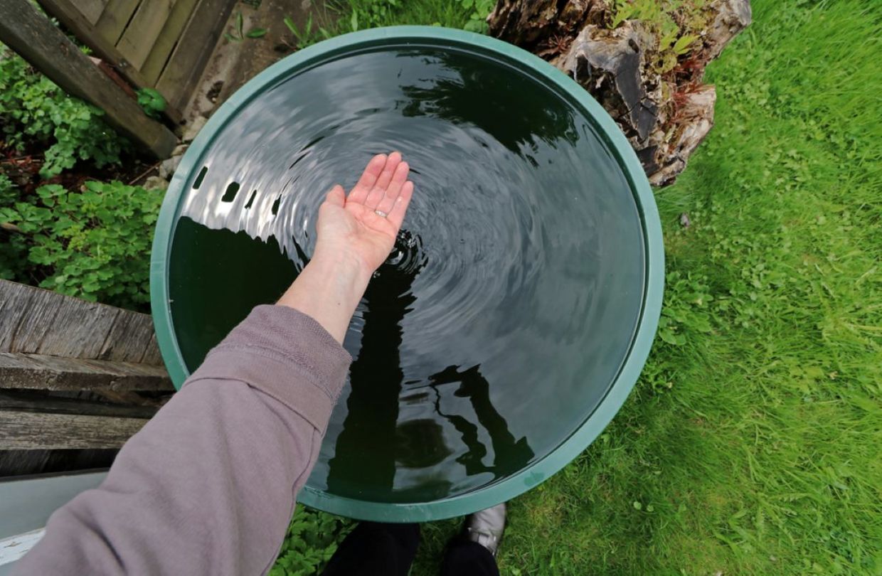 A global nonprofit is providing people with drinking water through rain throughout the world. A global nonprofit is providing people with drinking water through rain throughout the world.