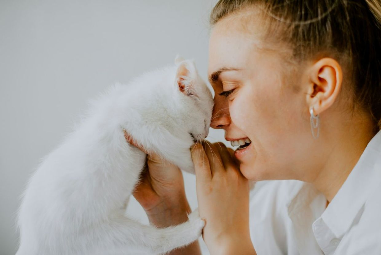 A woman holds a kitten. A woman holds a kitten.
