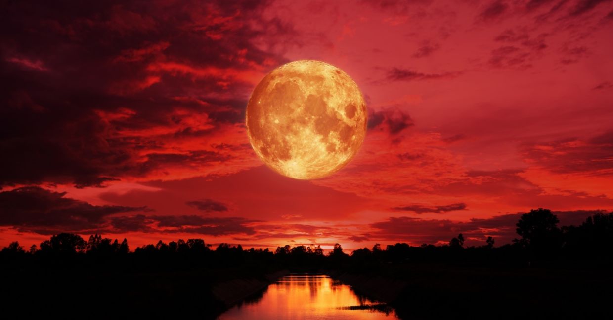 A rare red moon. A rare red moon.