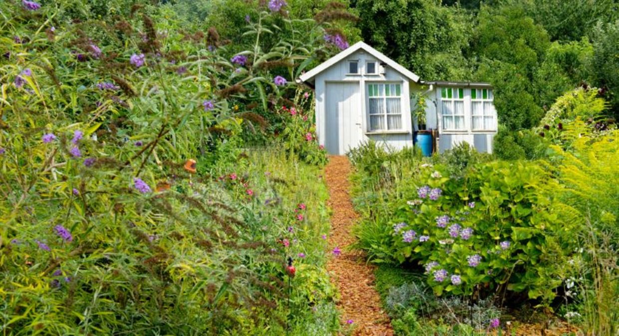 A tiny cottage in an idyllic Koloniträdgårdar garden. A tiny cottage in an idyllic Koloniträdgårdar garden.